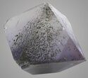 Fluorite Octahedron (Chalcopyrite Inclusions) - Illinois #36152-2